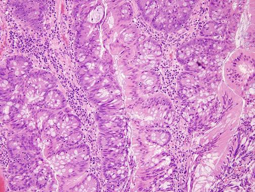 Гистология, эмбриология, цитология