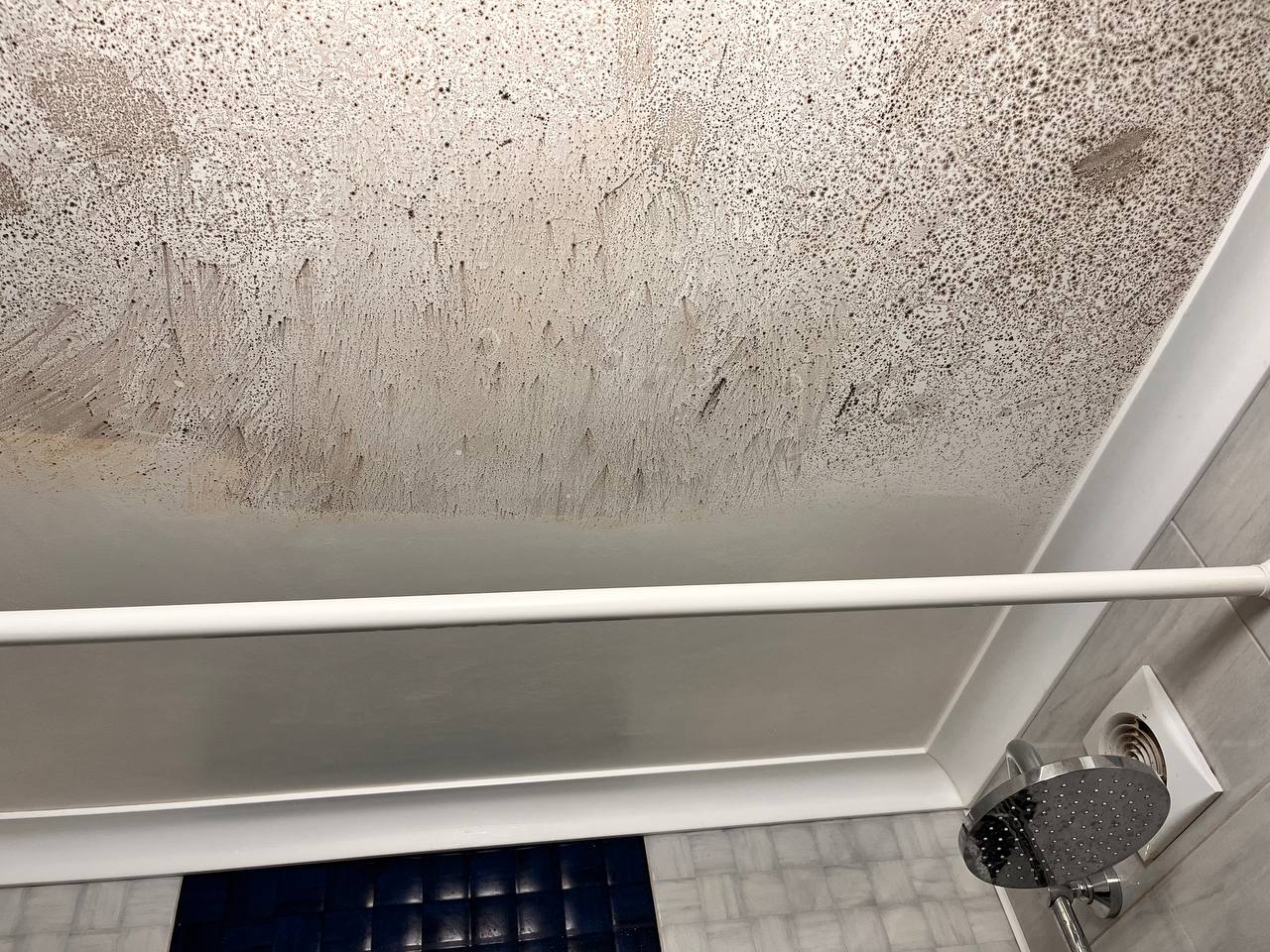 Плесень в ванной на потолке. Труба грибок над ванной.