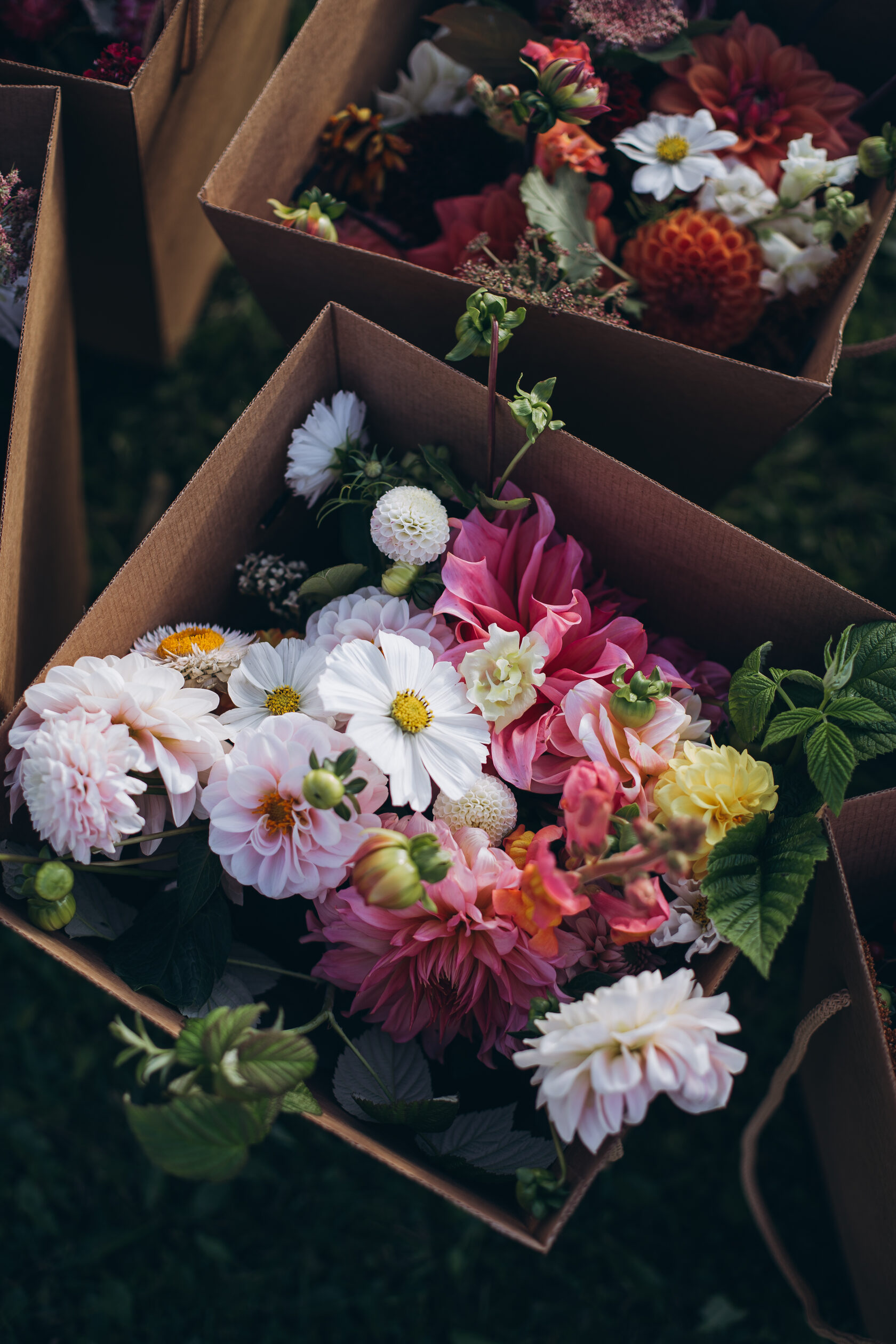 Подписка на цветы. Цветочная подписка москва. Цветочная подписка на свадьбу. Подписка на цветы. Цветочная подписка москва.