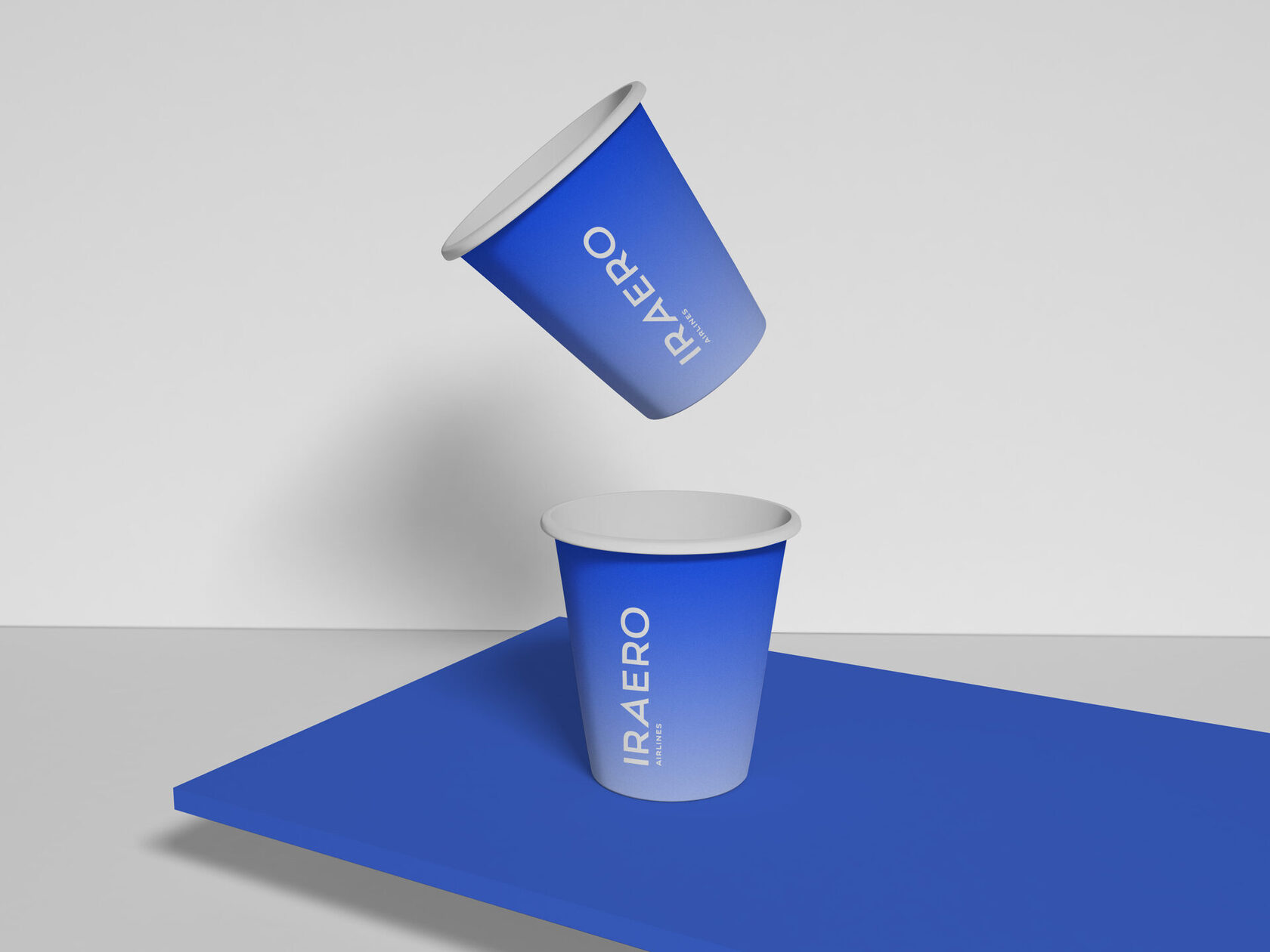 Разработка упаковки для авиакомпании