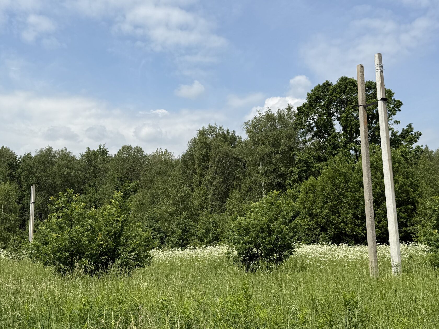 строительство дорог (в посёлке/в КП 