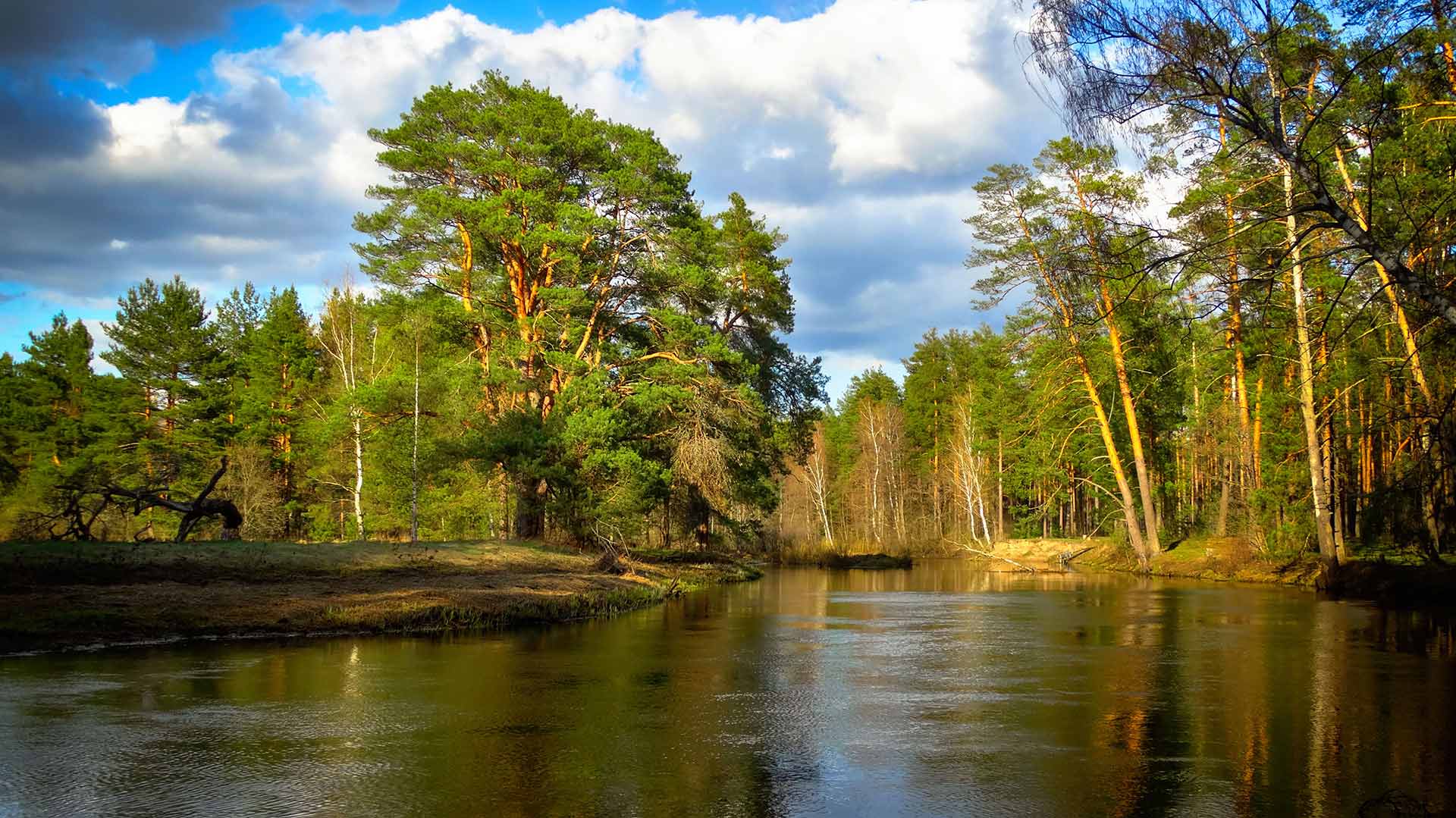 Нерская московская область озеро. Река Нерская Анциферово. Озеро Нерское река Нерская. Река Нерская Московская область.