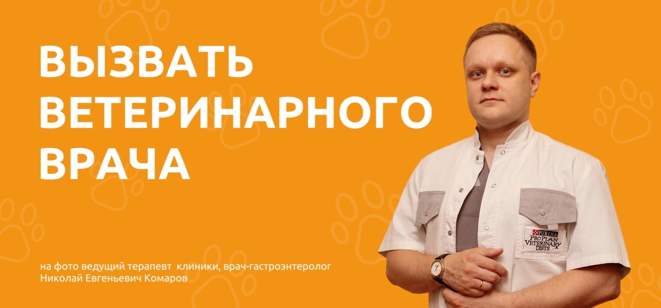 Вызвать ветеринарного врача (ветеринара) круглосуточно | ВЦ МЕДВЕТ  Домодедово