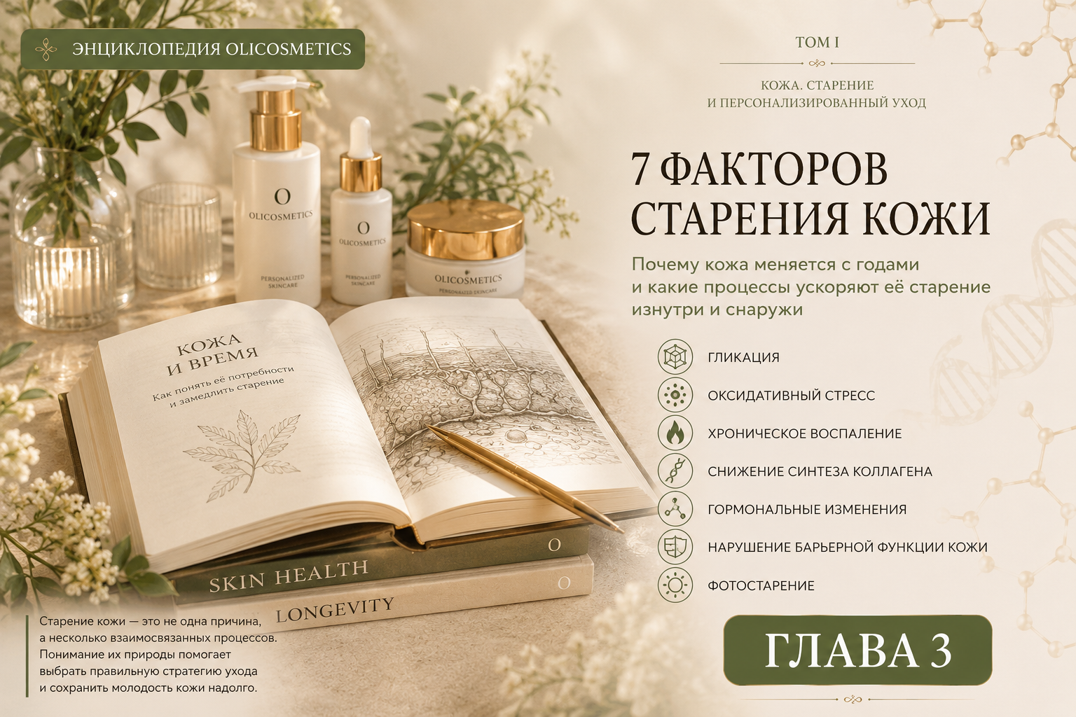 Глава 3 энциклопедии olicosmetics 7 факторов старения кожи -фотостарение гликация оксидативный стресс хроническое воспаление снижение синтеза коллагена гормональные изменения и нарушение барьерной функции кожи.