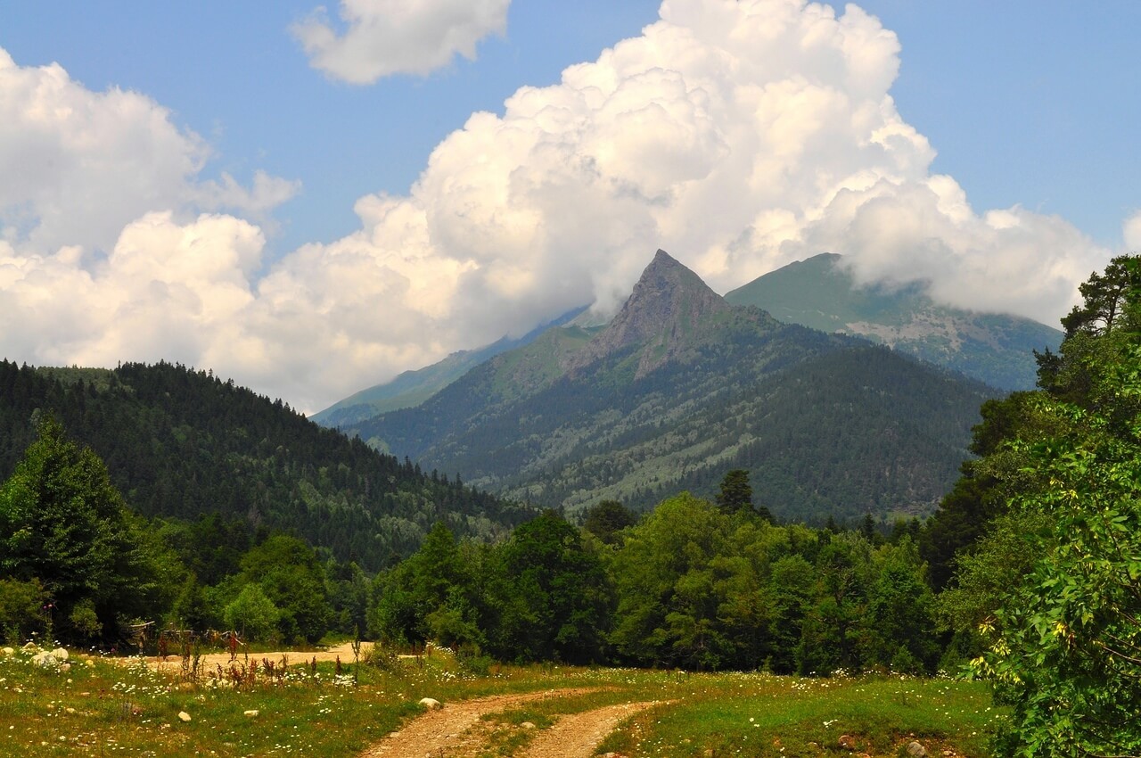 Дамхурц база отдыха фото