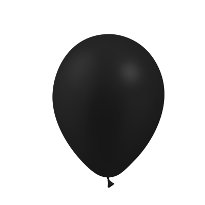 Paris Prix Lot de 10 Ballons en Latex Gonflables 30cm Noir pas