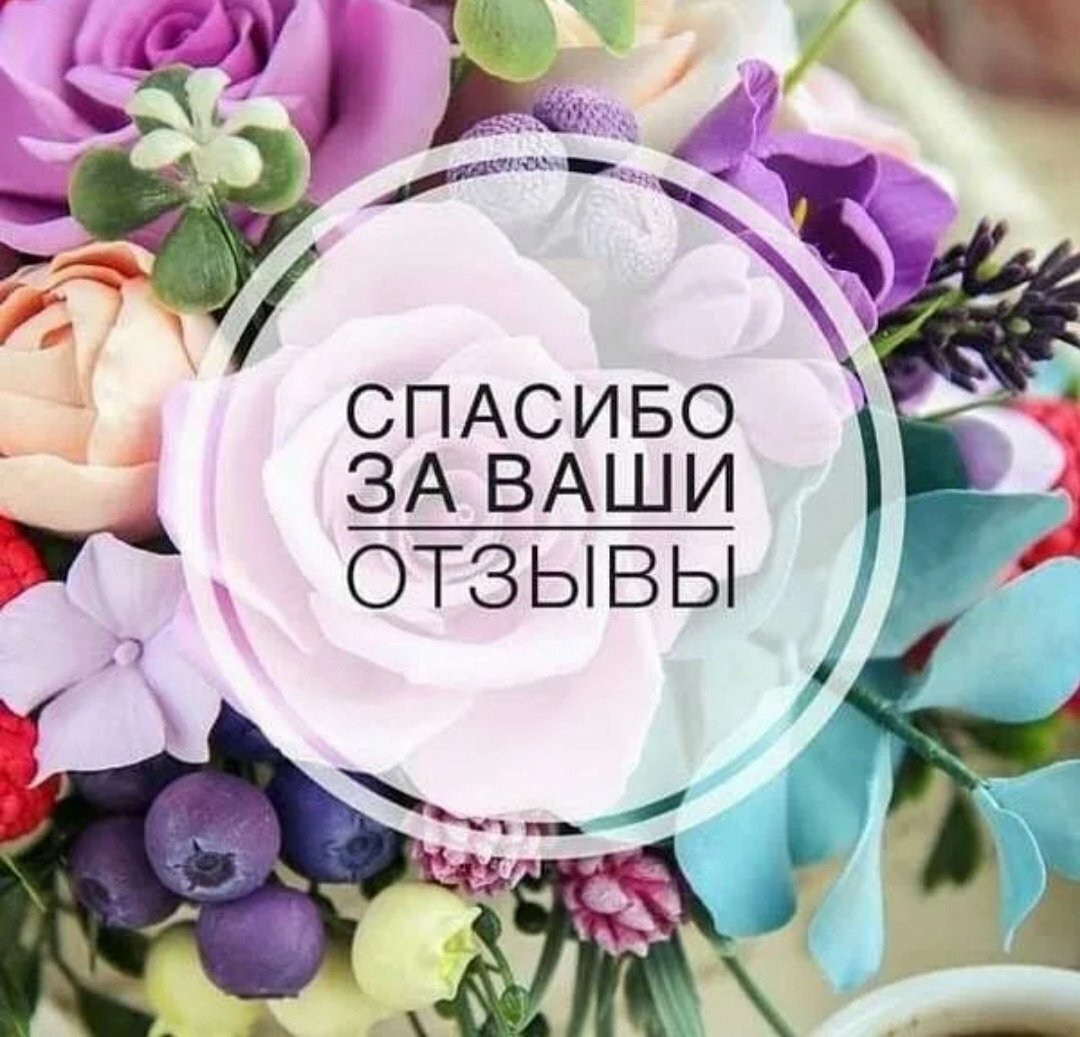 Ваши отзывы