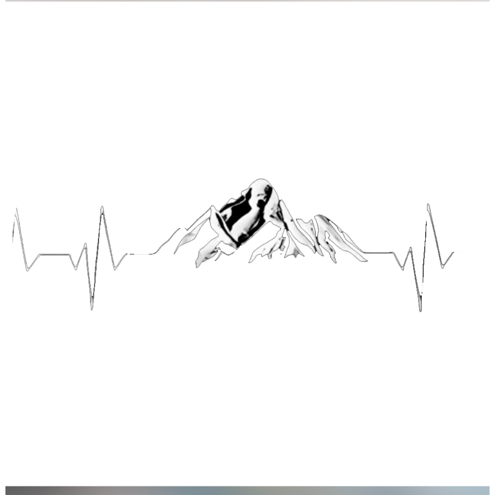 pulse-dagestana.ru favicon