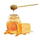 натуральная косметика, магазин профессиональной косметики, крем для ног, крем для ног с мочевиной, крем для ног купить, масло для ногтей, масло монарды для ногтей, масло для ногтей купить, косметика для ногтей, дезодорант для ног