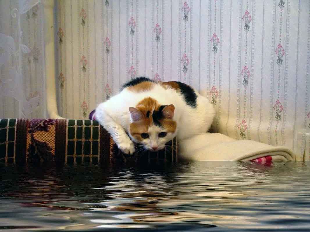 вызвать сантехника минск