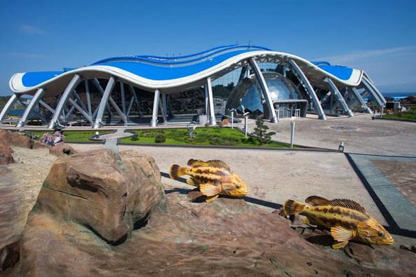 Приморский океанариум во Владивостоке 