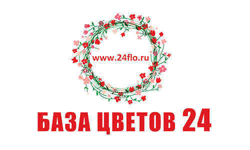 База цветов 24 сайт