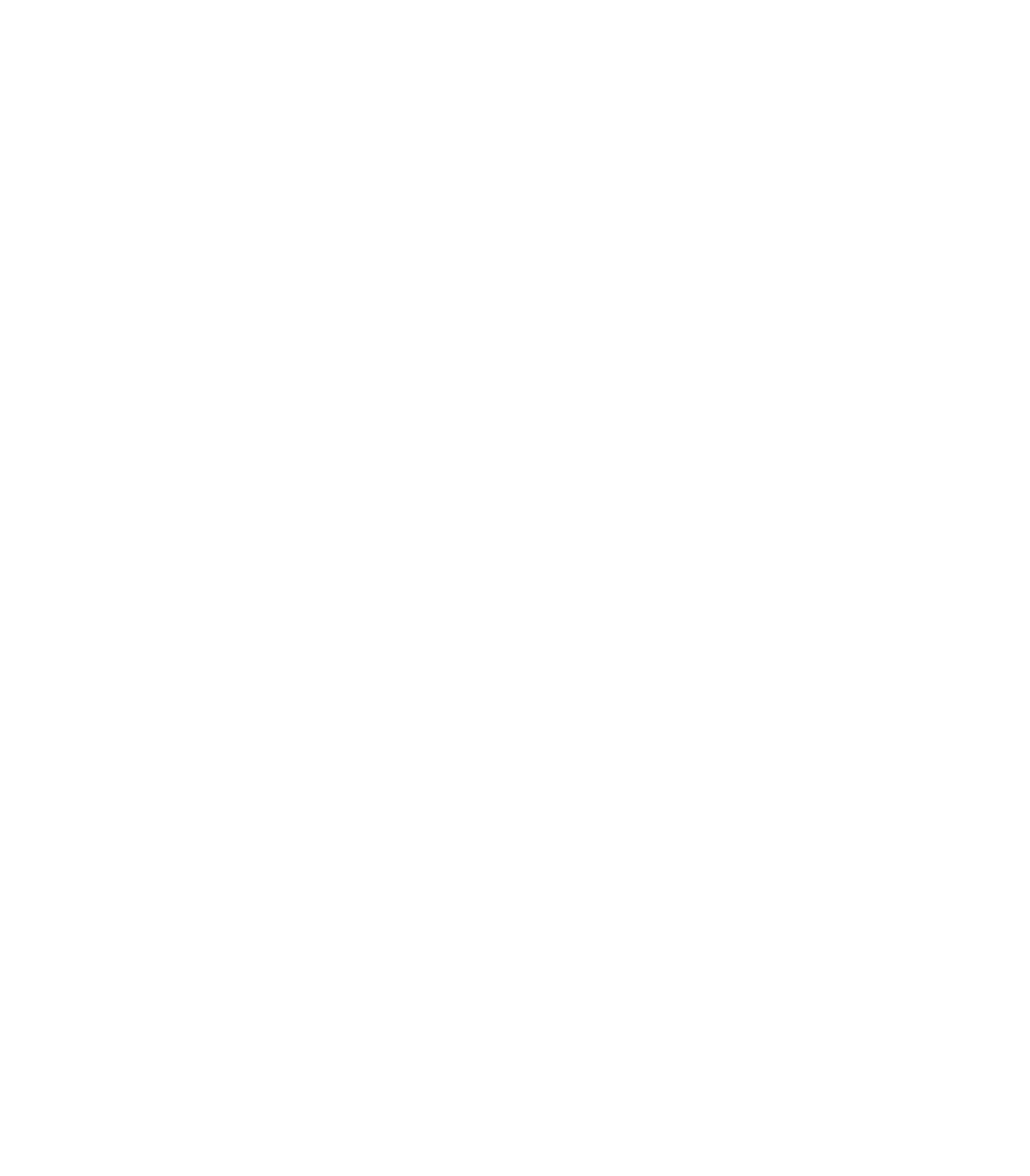  LESSY KOVAL DESIGN&amp; DECOR 