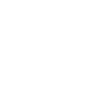 website icon
