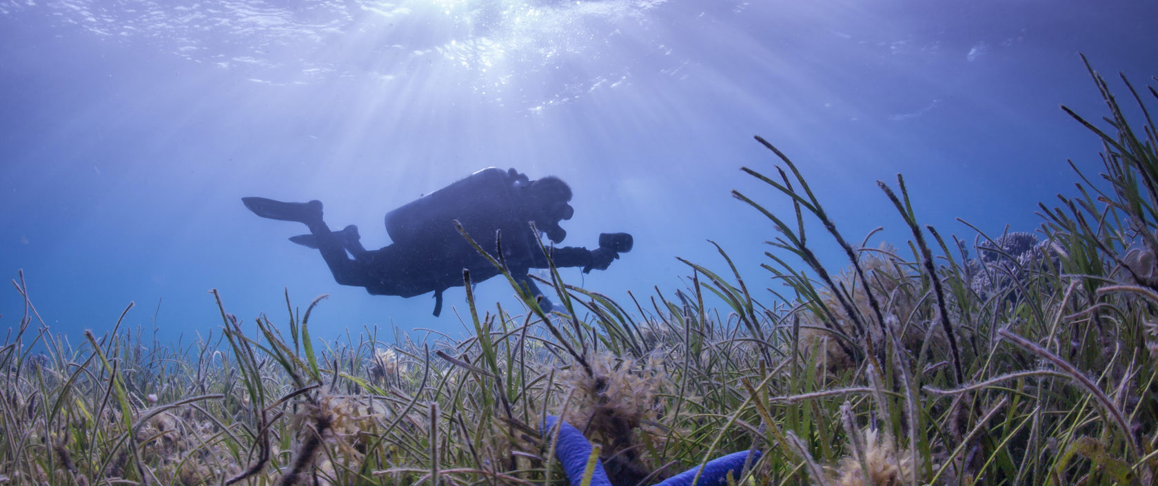 Professional Buoyancy Diver