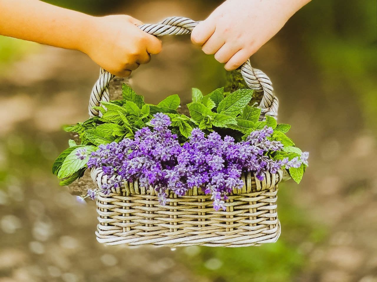 Плетіння виробів різних форм. Види ручок для кошиків