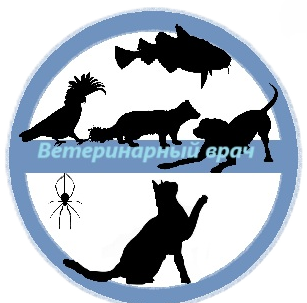 Ветклиника