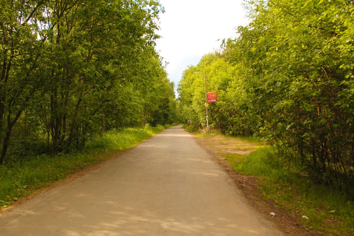 Марьинский лес. Поселок Марьинский.