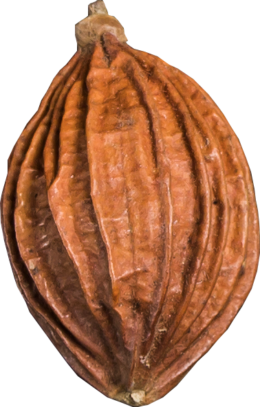 Программы питания