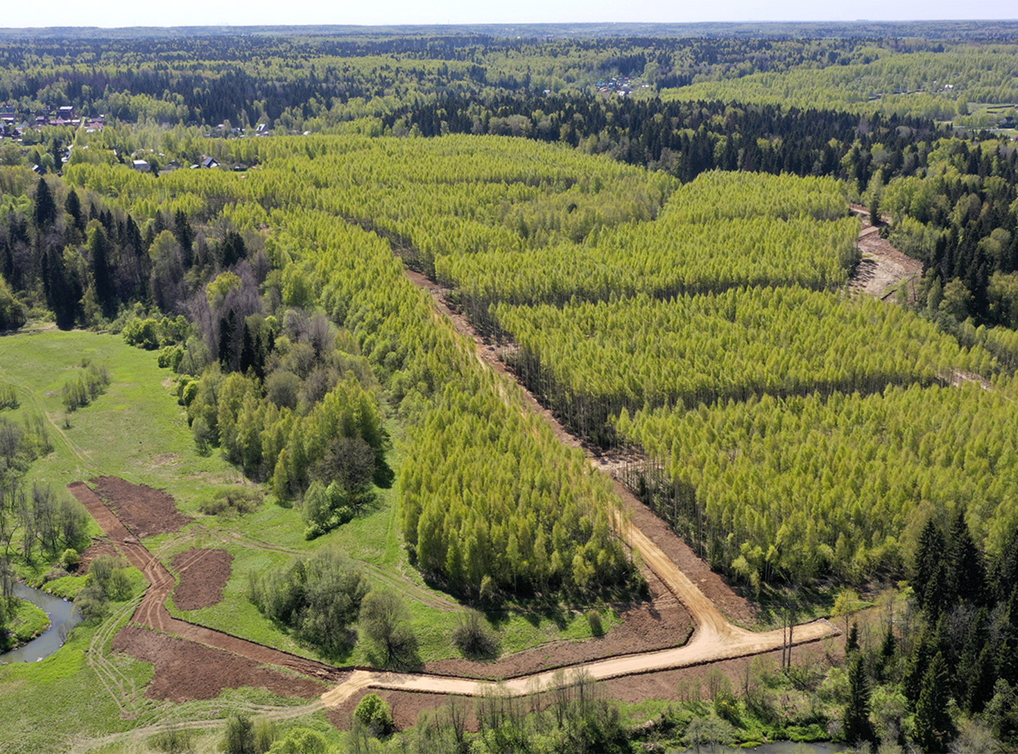 село белый раст дмитровский городской округ фото 113