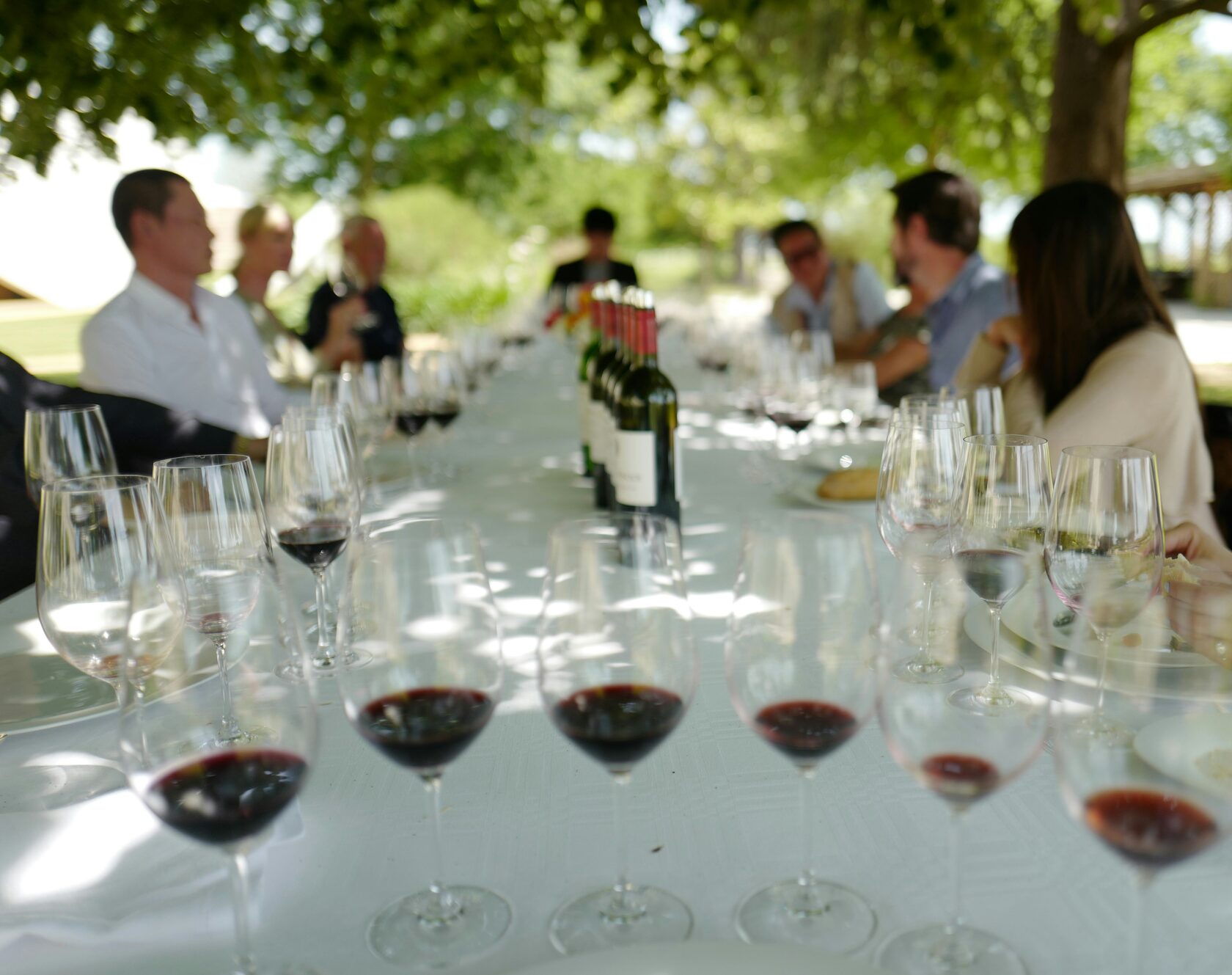 Wine tasting terrace at a family winery in Tuscany, summer evening