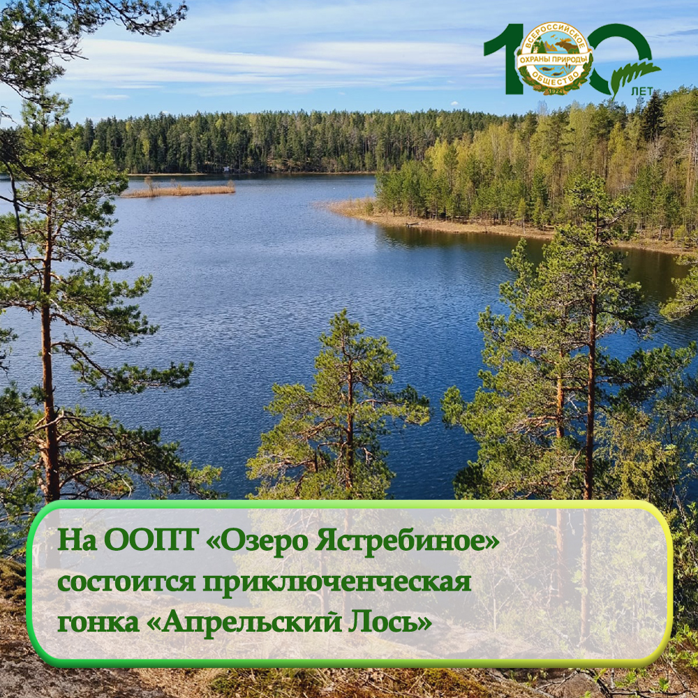 На ООПТ «Озеро Ястребиное» состоится приключенческая гонка «Апрельский Лось»