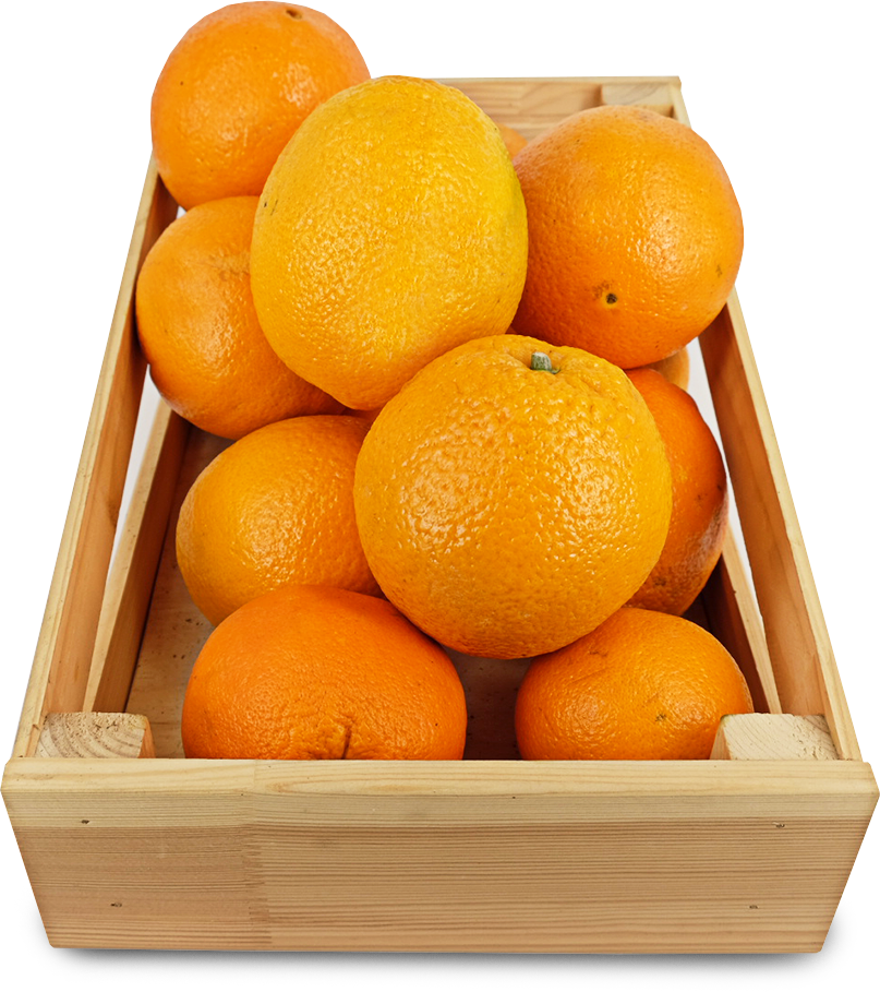 Мандарины ящик сколько кг. Апельсины 1 кг Турция 64. Apelsin 1:1. Ящик апельсинов. Ящик с апельсинами.