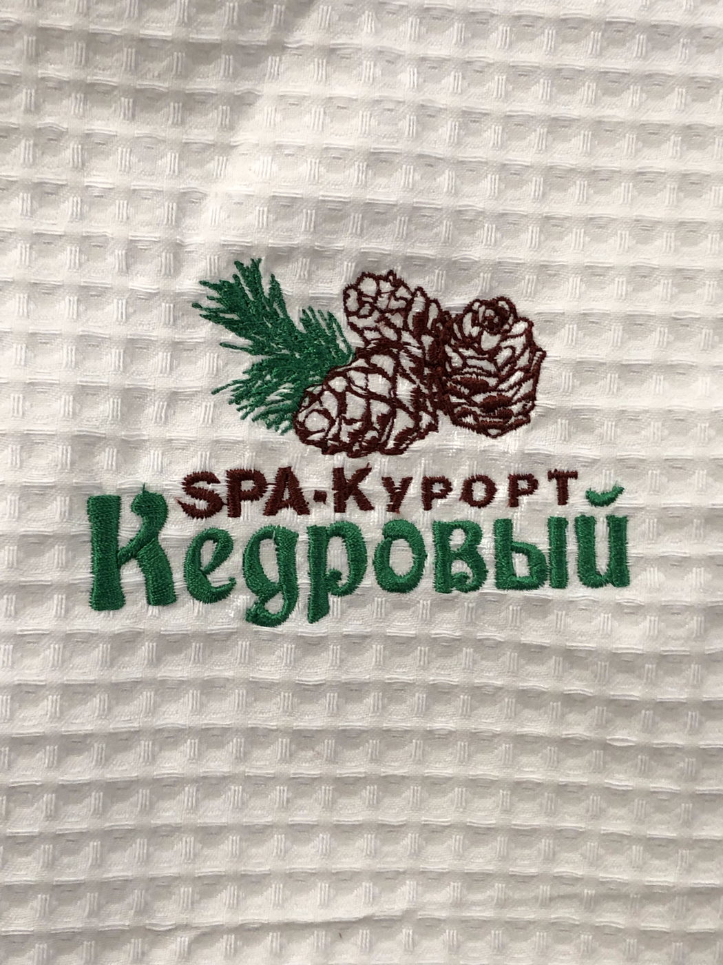 Многоцветная вышивка SPA-курорт Кедровый на вафельном полотне