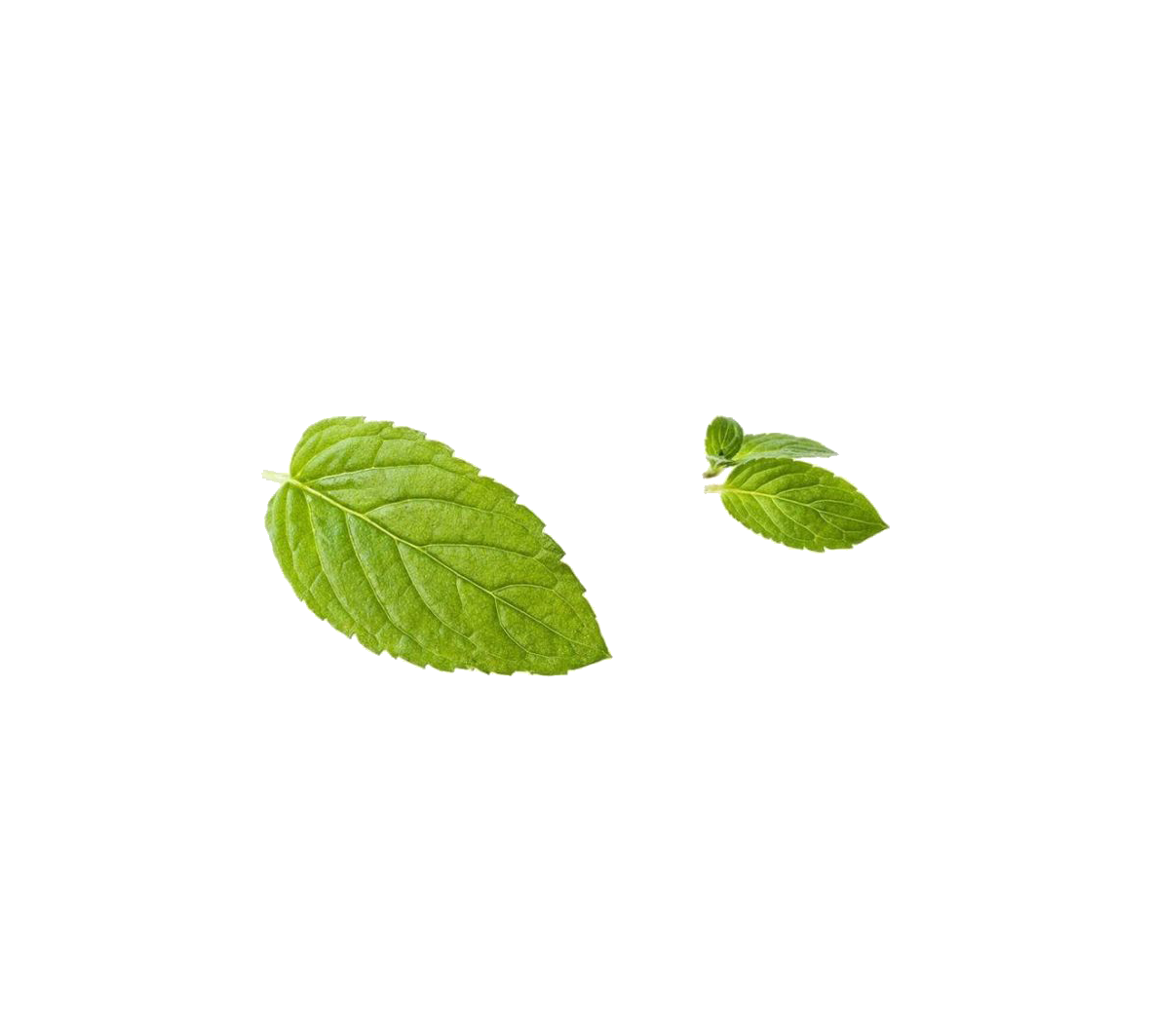 Купить витамины и БАДы напрямую от производителя Vitamin Garden