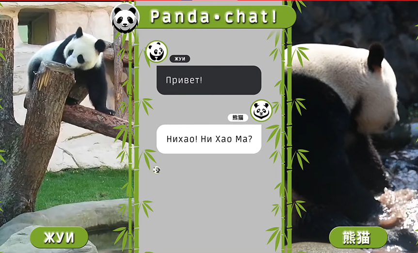 Наши авторы разработали “Панда-чат”. В видеоролике панды, проживающие в России, общаются в мессенджере со своими китайскими родственниками из долины Сычуань.