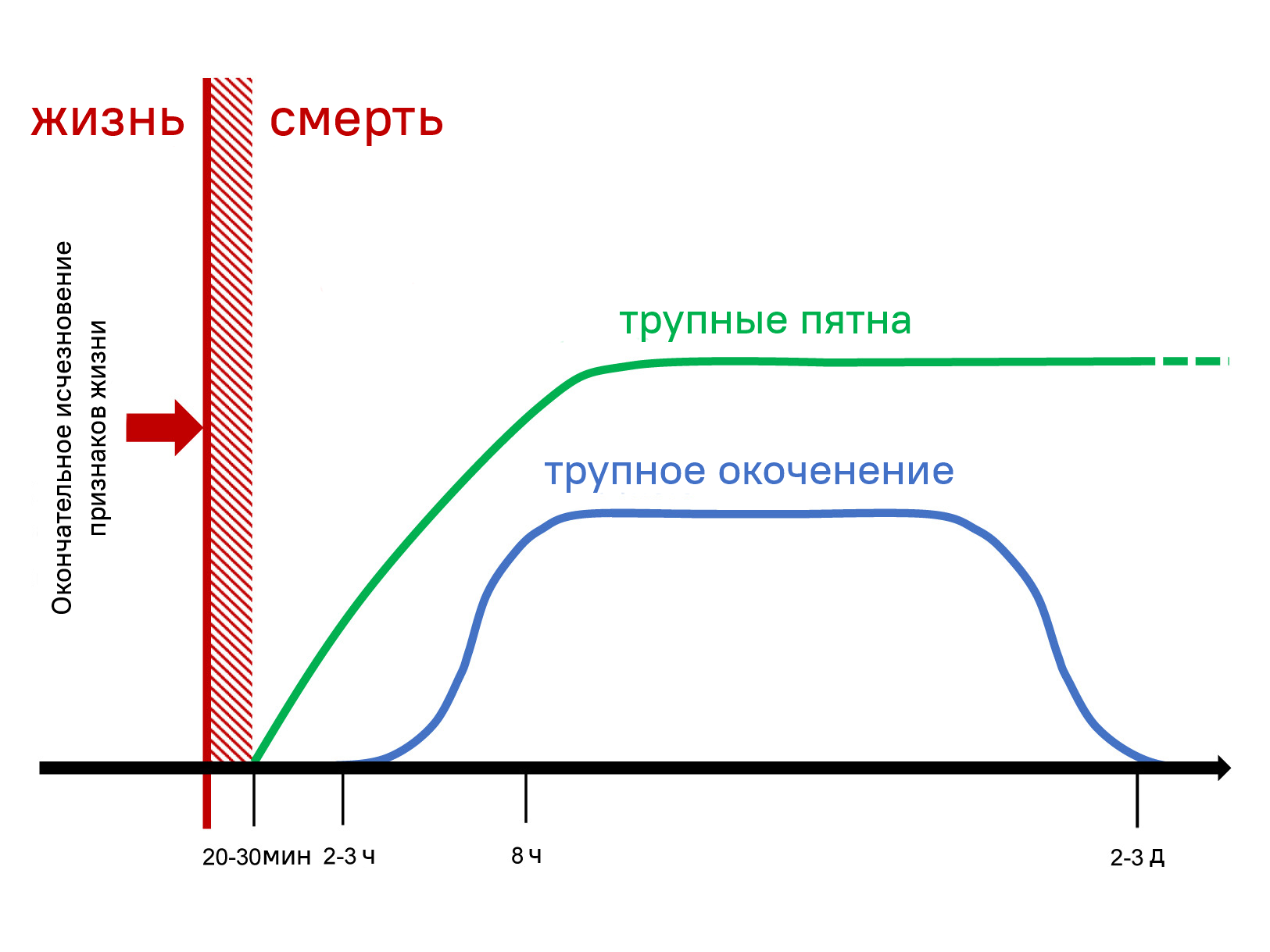 Определение биологической смерти в удалённой местности