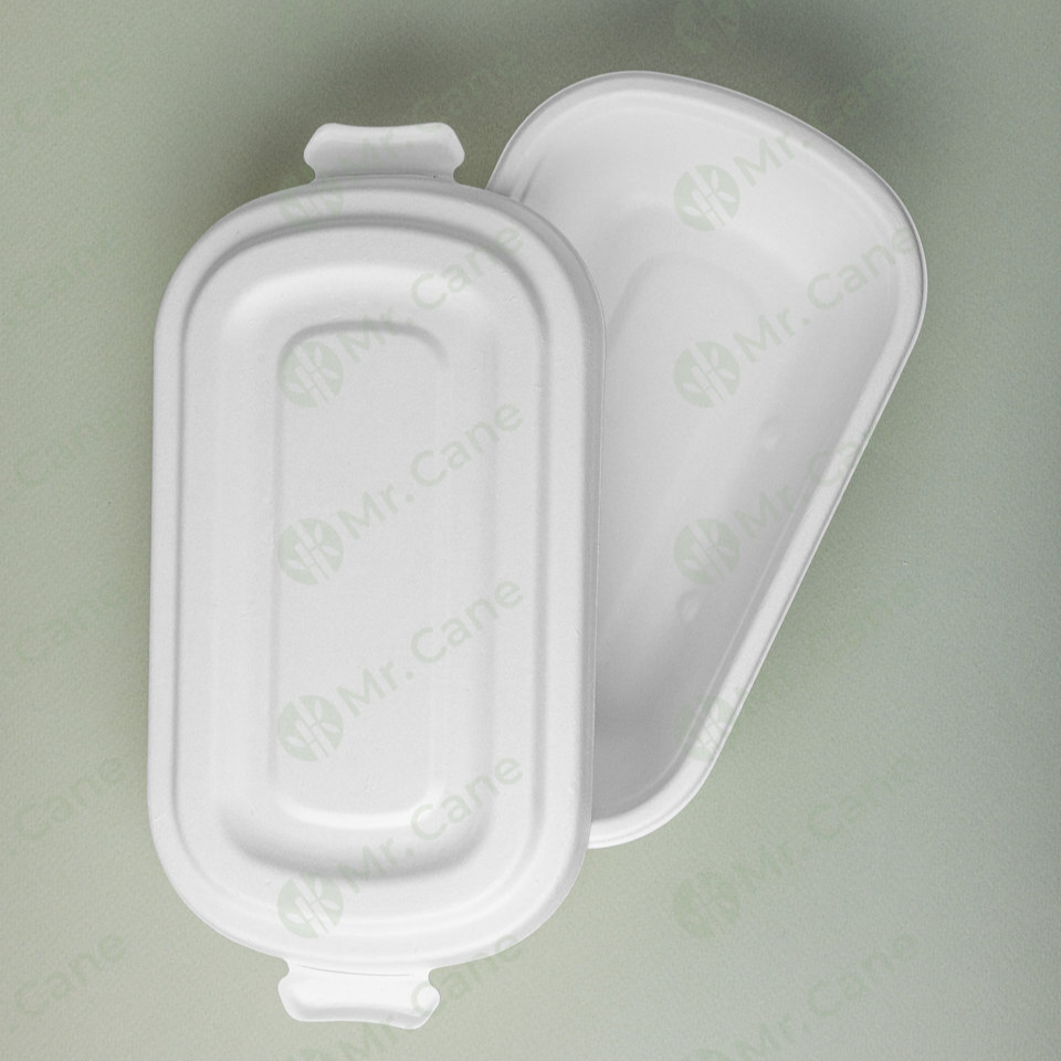 контейнер из сахарного тростника с крышкой