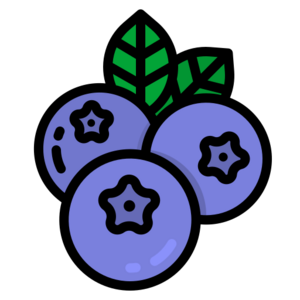 website icon