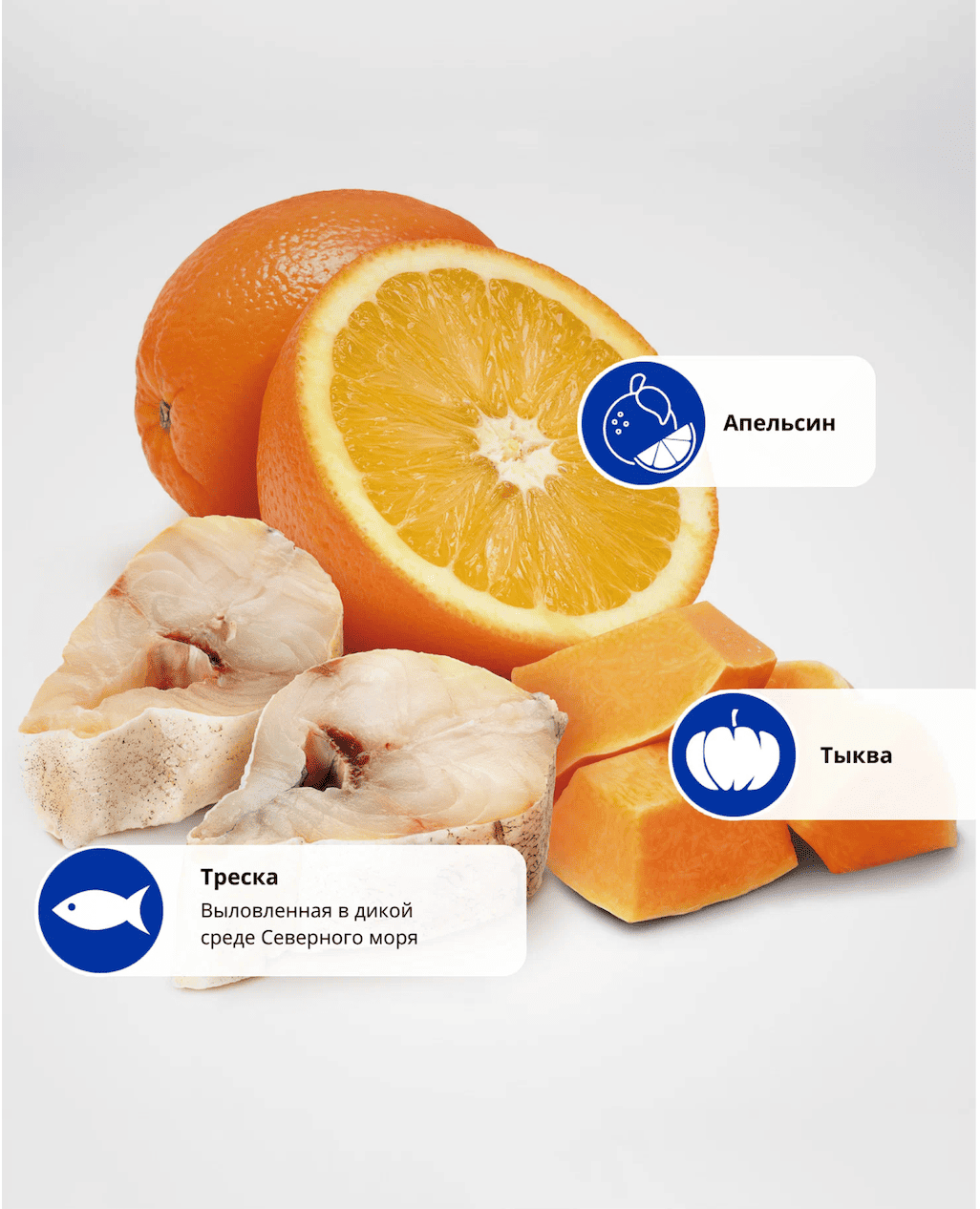 корм Farmina ND ocean сельдь тыква апельсин