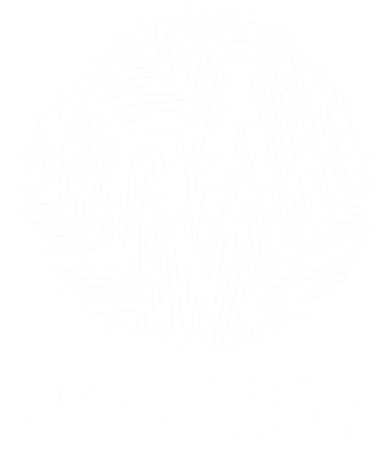 Пульс Леса