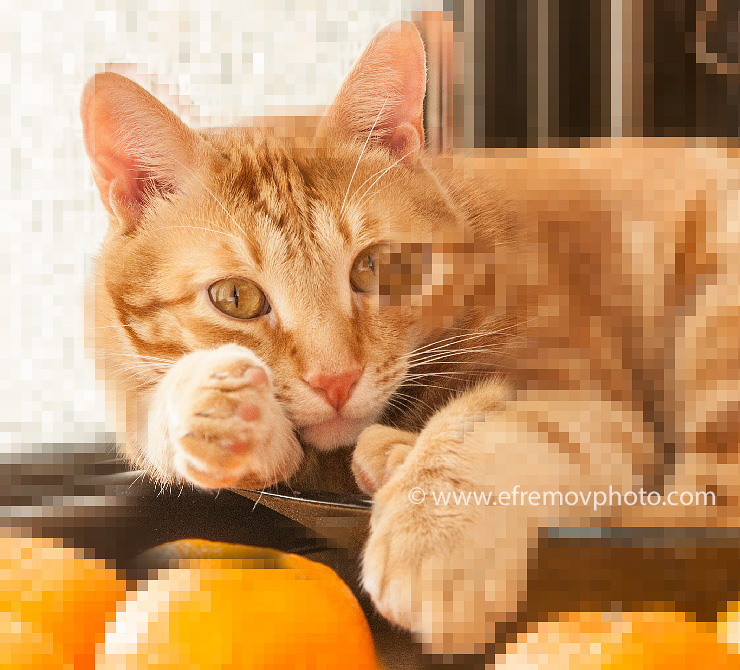 Enlarge photos without losing quality