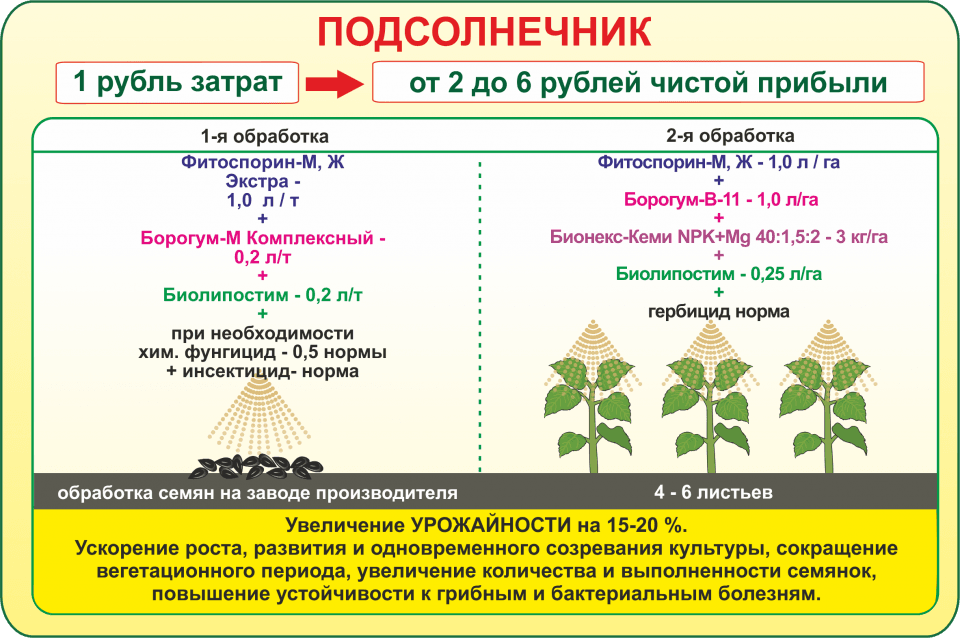 Договор на подсолнечник