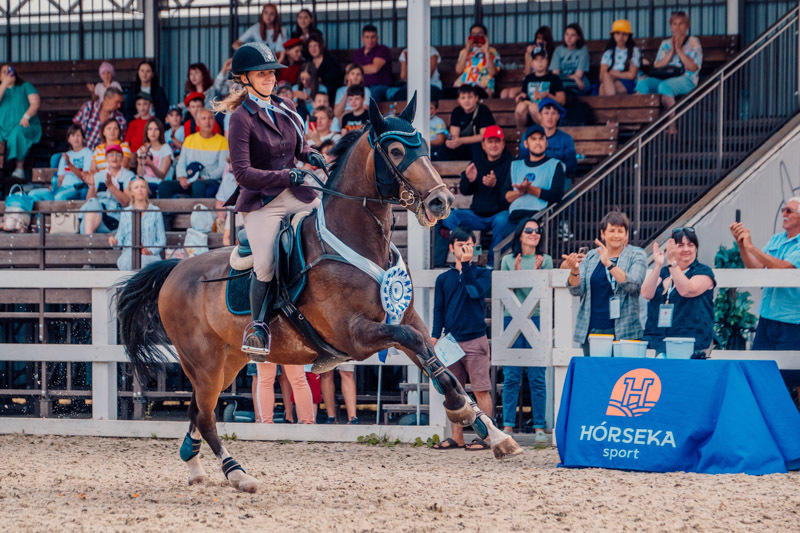 Horseka sport. Выставка лошадей 2023 в Сокольниках.