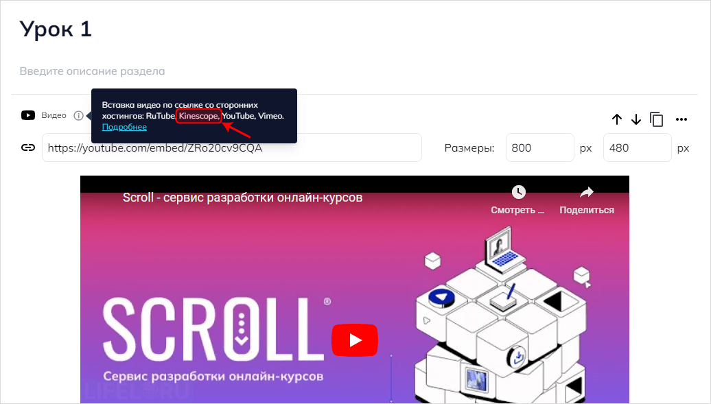 Kinescope, Кинескоп, видео с защитой от копирования, Александр Павлычев