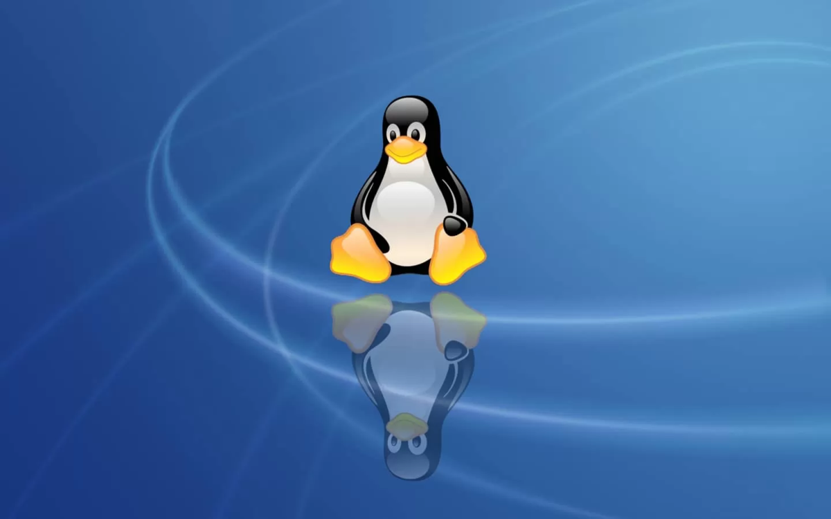 Linux переходить. Линукс. Пингвины обои. Пингвин линукс. Заставка пингвины.