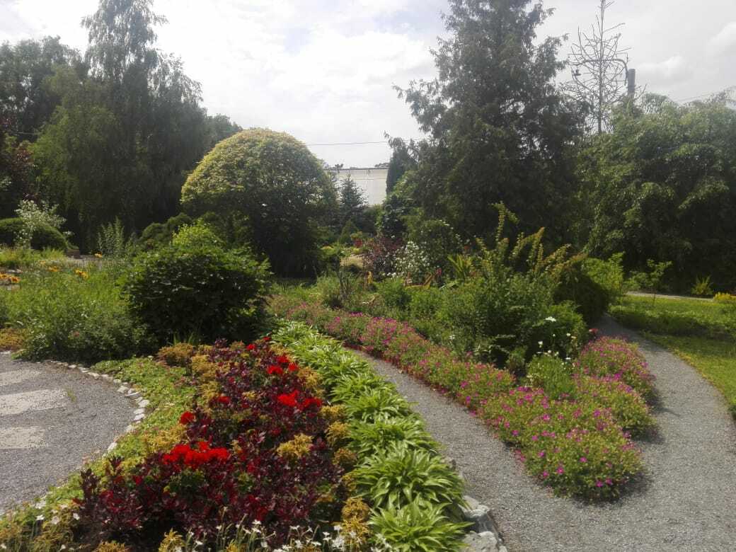 «Сад должен быть красивым». Разговор за жизнь с директором ботанического сада Павлом Крестовым