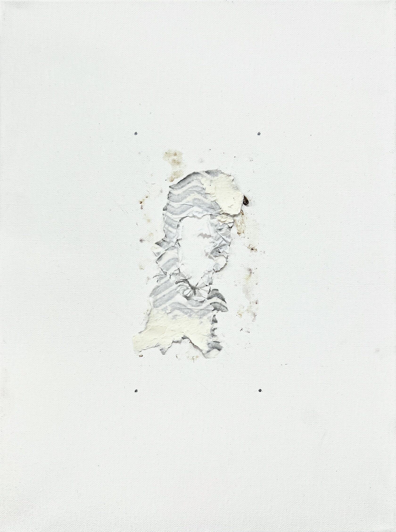 Тараканья Живопись, холст, найденный объект, 40x30 см, 2024