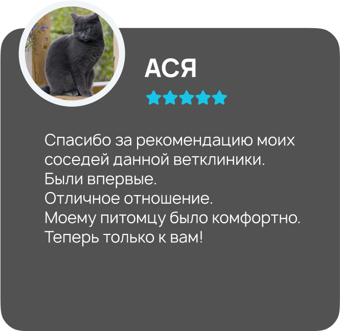 Центр здоровья животных, ветеринарная клиника, ветеринарная клиника в Туле, ветклиника центр здоровья животных, ветклиника, ветклиника тула, стерилизация собак Тула, стерилизация кошек Тула, врач ветеринар на дом, врач ветеринар на дом Тула, врач для животны, врач для животных Тула, врач по почкам ветеринар, врач хирург ветеринар, Тула ветеринар, Ветеринарная больница Тула, Тула лечение животных, Тула вакцина собаке, Тула вакцина кошке, стерилизация Тула, кастрация Тула, груминг Тула, зоогостиница Тула, передержка животных Тула, ветеринарная аптека Тула, ветеринарный врач Тула, лечение животных, вакцинация, стерилизация, кастрация, кастрация собак, кастрация кошек, кастрация Тула, кастрация собак Тула, кастрация кошек Тула, груминг, груминг Тула, зоогостиница, передержка животных, ветеринарная аптека.