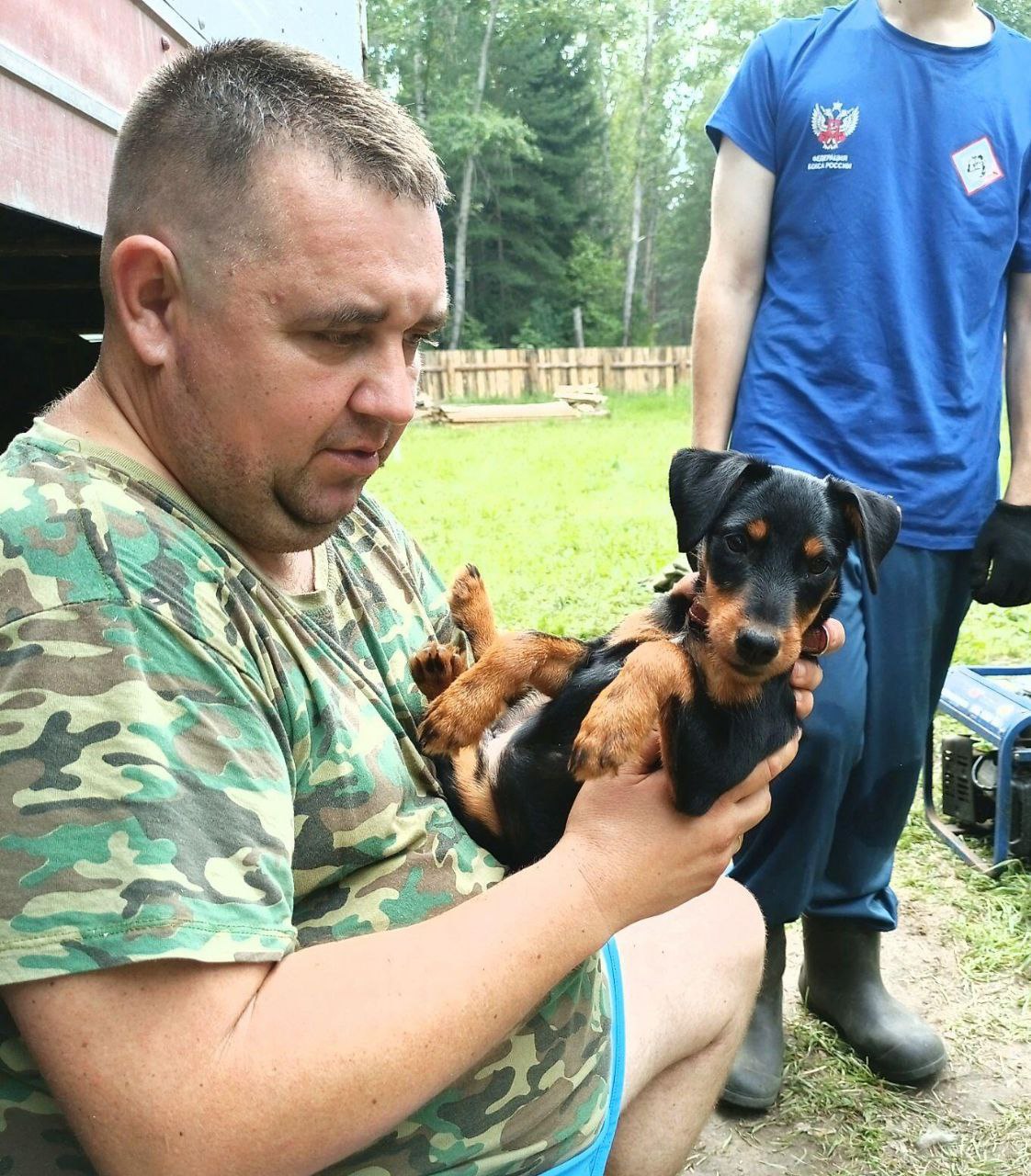 Налаживание контакта со щенком ягдтерьера