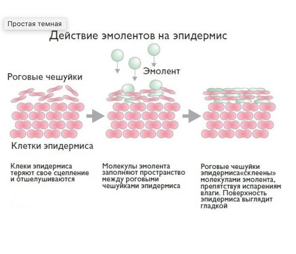 Клеки. Роговой слой при атопическом дерматите. Восстановление гидролипидного баланса кожи. Атопический дерматит белок филаггрин. Эмоленты в составе косметических средств.