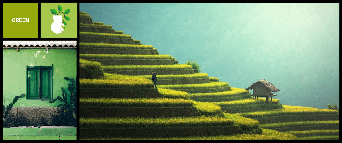 green зеленое окно кактусы рисовые террасы