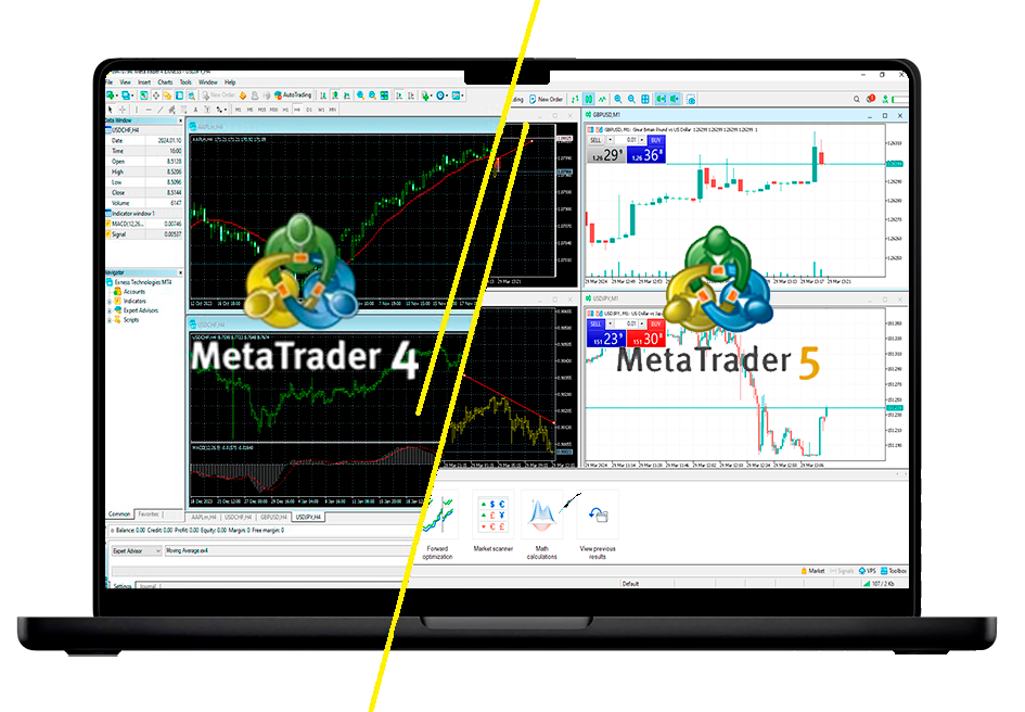 Exness Trading: Back To Basics