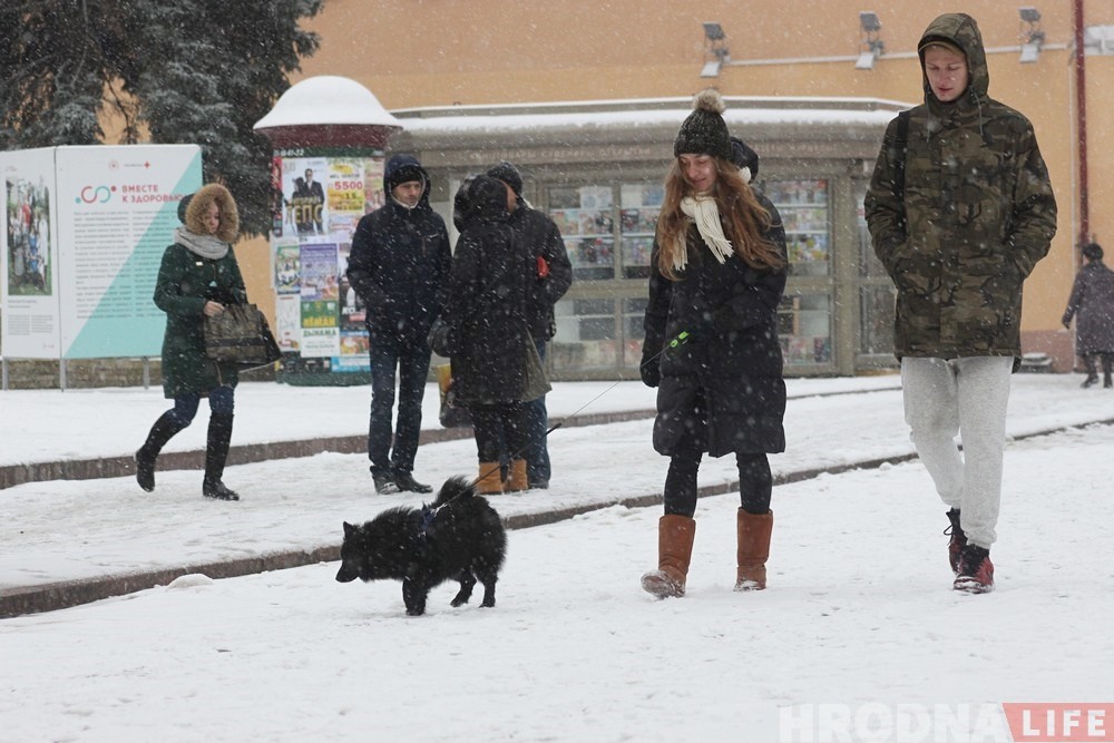Соль видишь? А она есть. Как антигололёдные реагенты влияют на окружение целый год и есть ли альтернатива