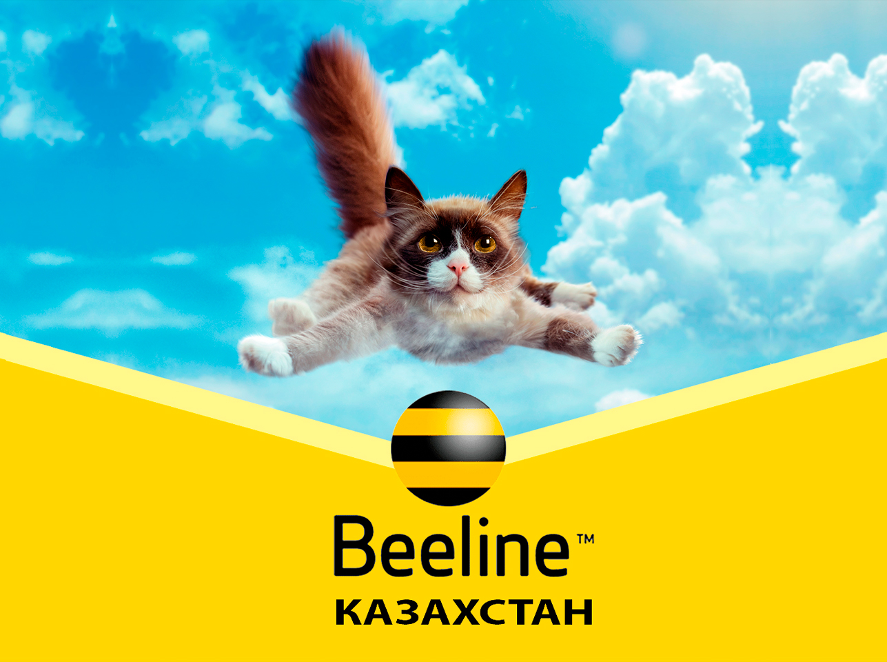 Кейс Beeline Казахстан и Юздес, как от старых привычек прийти к новым  возможностям