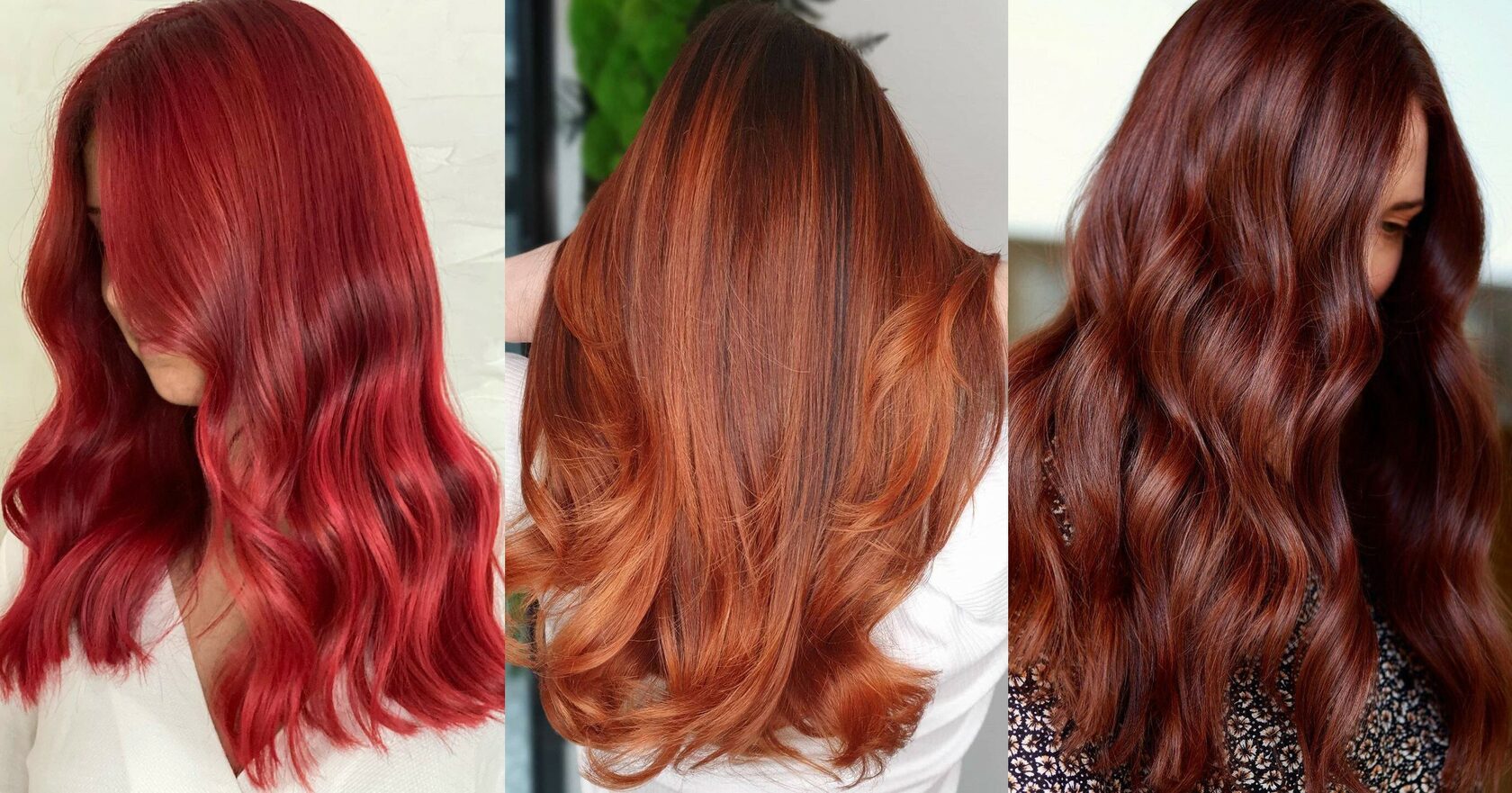Огненный каштан цвет волос. Модное окрашивание 2024. Тренд окрашивания 2024 осень. Трендовые цвета волос. Тренд покраски волос 2024.